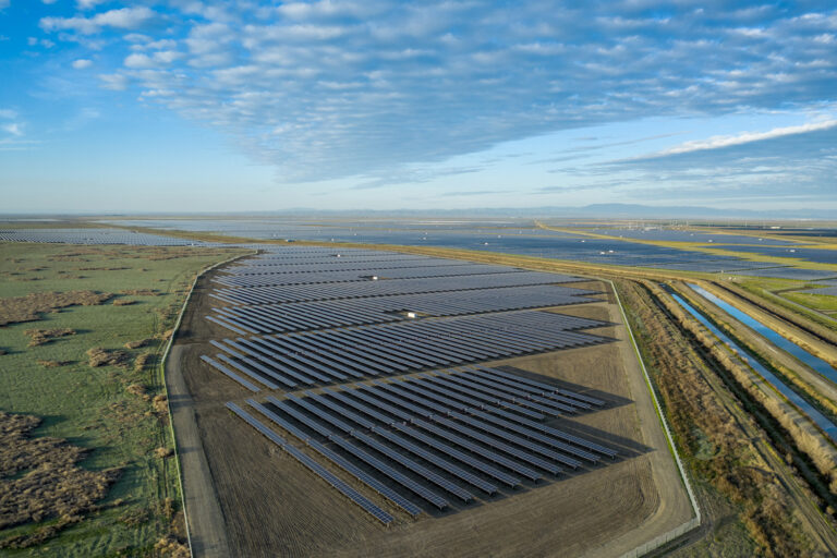 Field of solar panels