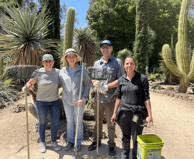 Volunteers at the Arizona Cactus Garden