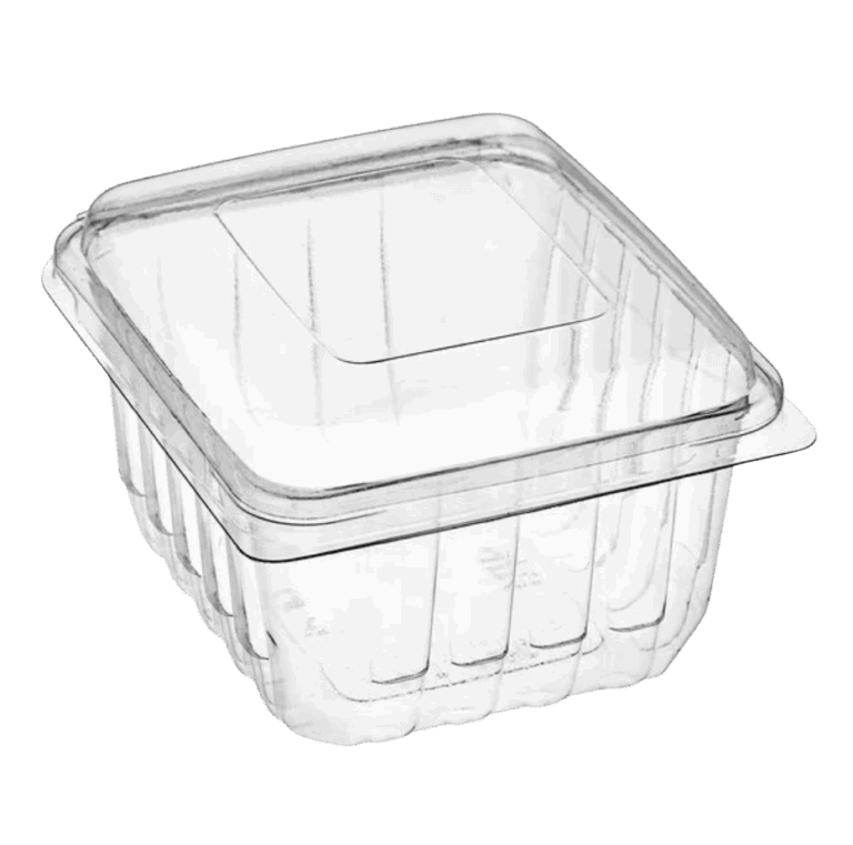 Clear plastic container