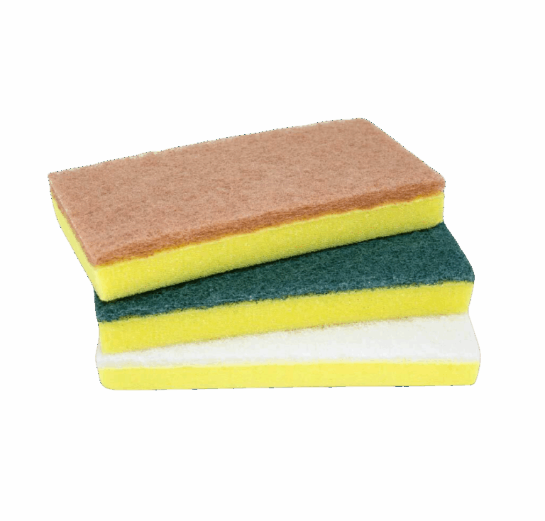 Sponges