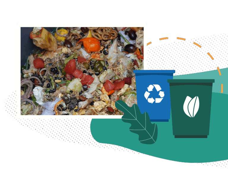 Close up of food scraps next to an icon of a blue recycling bin and green compost bin