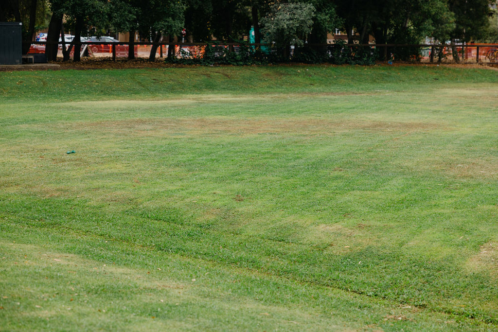 Archery Field Lawn