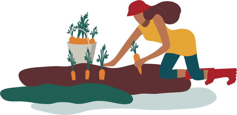 Person planting carrots