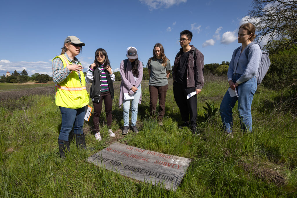 Six people standing around a box on the ground that reads "Stanford Conservation"